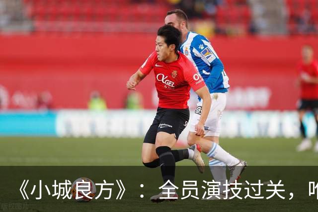 《小城良方》：全员演技过关，唯有一人是败笔，全程耷拉着脸！