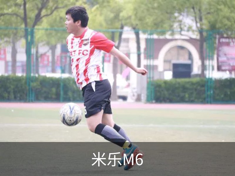 企业介绍